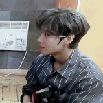 [댓글부탁해] 박지훈이 키우는 강아지 슈나우저