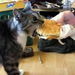 [댓글부탁해] 아이폰끼리 <b>유심</b>칩