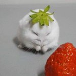 [댓글부탁해] <b>상</b><b>메</b> 어때?????