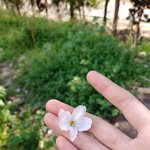 체육대회 <b>매점</b>에서 뭐 팔면 좋겠음?