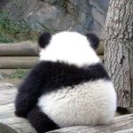 [추반] 얘드랑 후집살까 <b>바막</b>살까
