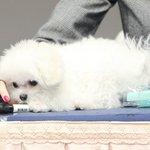 [댓글부탁해] <b>후집</b>추천해죠