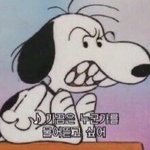 스누피<b>우유</b> 마셨는데 죽는생각들어 갑자기