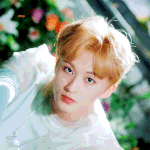 [NCT] 솔직히 마크
