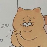 [댓글부탁해] <b>뉴발</b>살까 아디다스 슬리퍼 살까