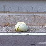 <b>개</b>빡<b>쳐</b>....