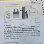 미 <b>친</b> <b>거</b> 아냐????
