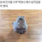 [드루와] 사진에 <b>블러</b> 처리하는 어플 머머 있음?