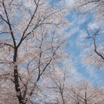 [드루와] 이거 카톡 <b>배사</b> ㄱㅊ??