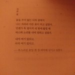 렌즈<b>미</b> 렌즈 ㅊㅊ좀
