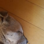 나보다 눈 크게 뜰 수있는 사람 나와<b>바바</b>