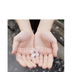 [빨리] <b>니</b>네 49000원짜리 <b>팬</b>미팅 얼마까지 가능?
