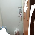 엄마랑 우리집 강아지랑 <b>산책</b>갈려는데