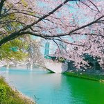 [혼자하는말] 오늘  <b>일과</b>