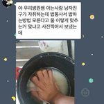 <b>솔라</b> 닮은 친구 인성 개별로