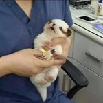 [EXO] 이거 <b>완조</b>니 변백현아녀