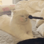 <b>아아</b> 배고프다