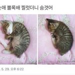 아이돌 기억이 2014년에 멈췄음..