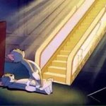 야들아 <b>러쉬</b> 트와일라잇 써..