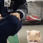 민지야 <b>만나자</b>