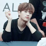 [인피니트] ㅅㄷ?토기들 묭이 <b>염색</b> <b>색깔</b>뭐야?