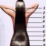 [드루와] 이만큼 머리자라려면 어느정도 걸려??