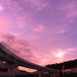 내가 우울할때 볼려고 올리는 게<b>시물</b>