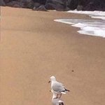 동격의 <b>of</b> 해석 어떻게 해??