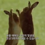 근데 <b>이</b><b>쓰쓰</b> 어디감???
