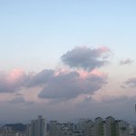나 되게 여러<b>분야</b>로 알고있어서 인싸됨