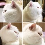[조언부탁해] <b>지출내역</b> 미쳤어 어떡해