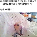 기독교학교 다니는애 있냐