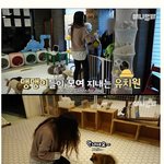 [모두드루와] 댕댕이 <b>유치원</b>