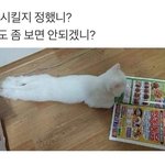 [댓글부탁해] 애들아 너넨 안 힘드니