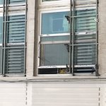 [이것좀봐줘] [<b>혐오주</b>의]이웃집이 비둘기 사랑방이에요