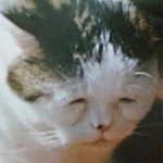 아 왜나만 단톡에서 <b>갑분</b>싸되지