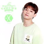 [EXO] 다람<b>지들</b> 토레카 사진 이쁘네