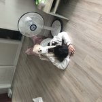 [댓글부탁해] 우리집 댕댕쓰한테 괴롭힘 당했음..