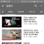 호냥이가 좋아하는 고양이