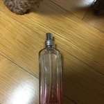 [댓글부탁해] 이 <b>향수</b>랑 <b>향</b> 비슷한 거 뭐있어..?