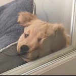 [댓글부탁해] 쌍수후기..(잘된지는<b>모름</b>