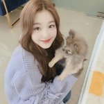 [아이즈원] <b>원영</b>아ㅠㅠ꽃길만걷자사랑해