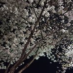 보고싶다