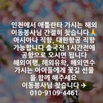 [강아지] 해외이동봉사 부탁드립니다