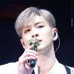 커다랗고 <b>듬직</b>한 남돌