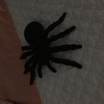 [댓글부탁해] 다이소 <b>거미</b>인형인데 완전 리얼하지