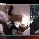 [방탄소년단] 기자회견 볼려다가