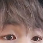 [강다니엘] 강다니엘 <b>야생</b>콩눈 (·•︠ᴗ•︡ )