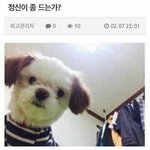 <b>진주</b> 아파트 살인사건 보고서 생각이 든게