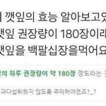[드루와] 오리가 얼면? <b>언덕</b>!